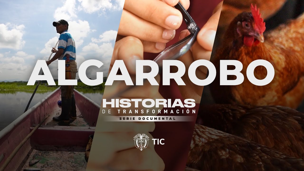Historia 1