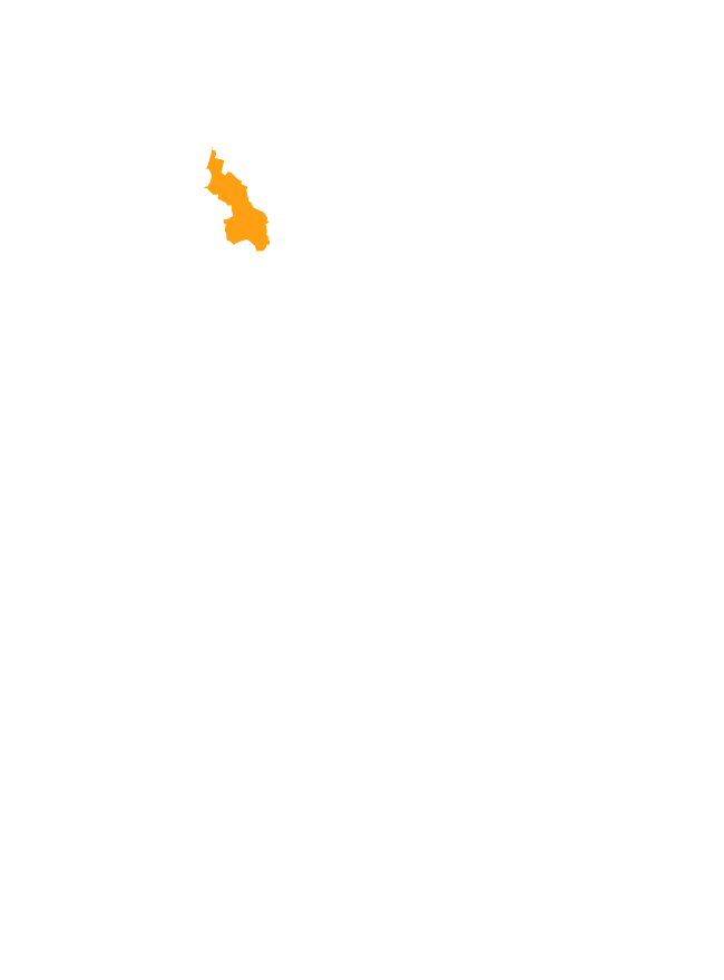 Higuerón, Sucre