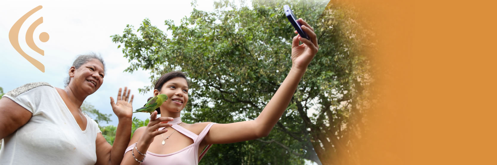 nueva asignación del espectro