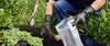Cerca de 3.000 productores agropecuarios del país se verán beneficiados al año. Cerca de 3.000 productores agropecuarios del país se verán beneficiados al año.