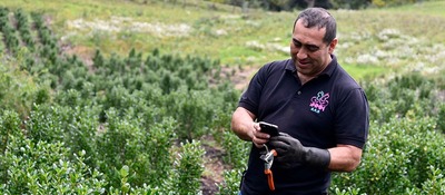 Se adjudica consultoría para el nuevo proyecto nacional de conectividad de MinTIC