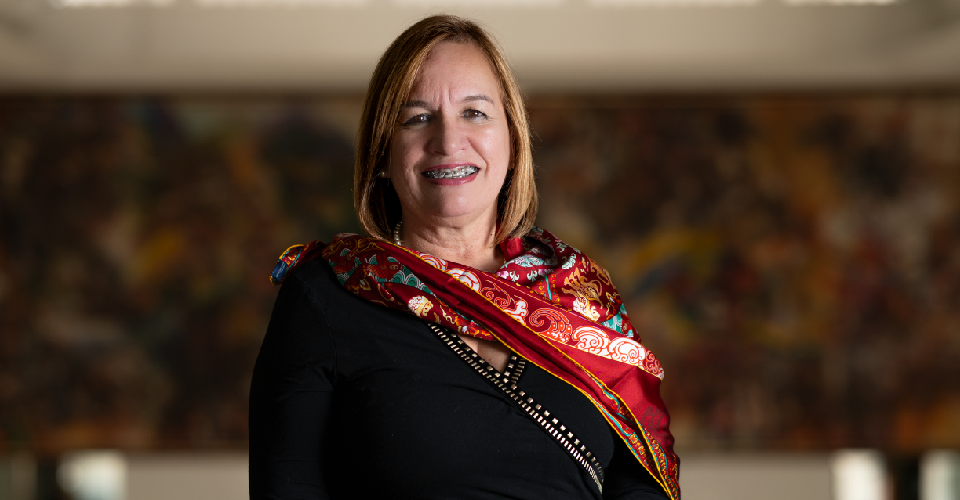 Viceministro de Conectividad - Gloria Patricia Perdomo Rangel