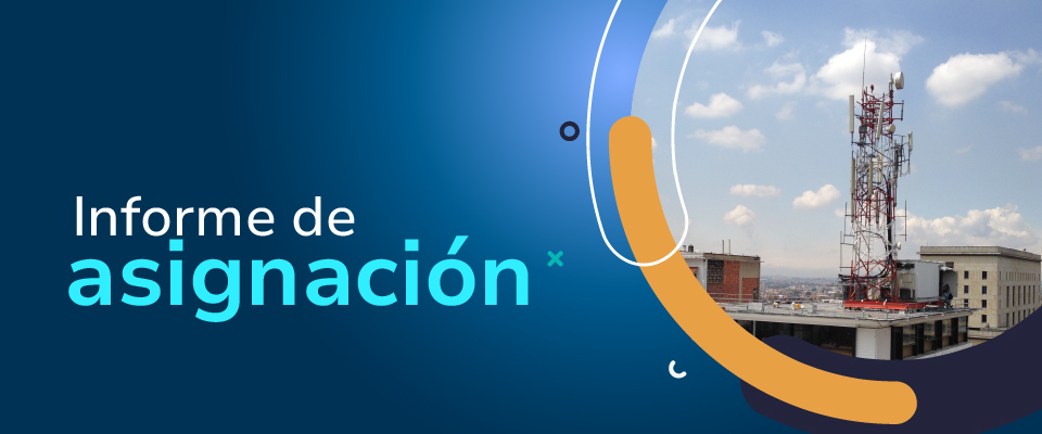 imagen diseñada de Informe de asignación imagen diseñada de Informe de asignación