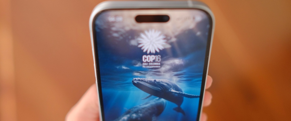 Foto un celular con el fondo de pantalla de una ballena en el mar Foto un celular con el fondo de pantalla de una ballena en el mar