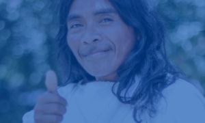 Líneas de Fomento 3.0