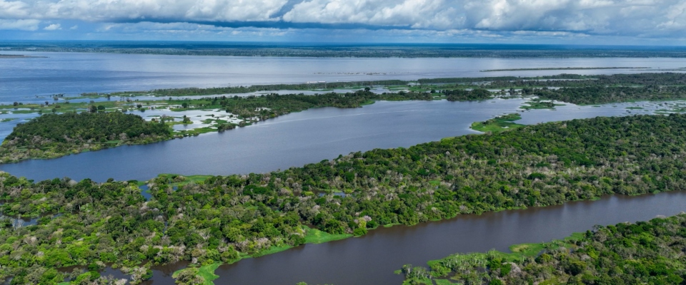 Vista aérea de ríos amazónicos serpenteantes rodeados de selva densa y verde, bajo cielo nublado, reflejando la conexión entre regiones apartadas