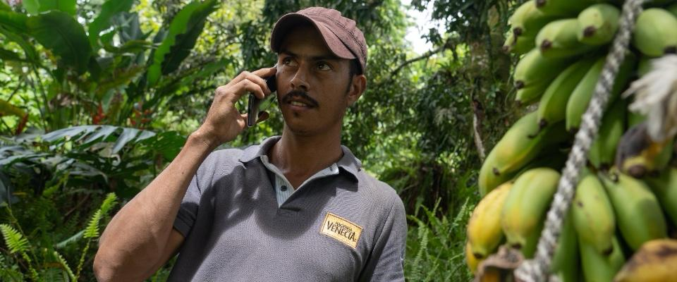 Foto de campesiono hablando por celular junto a un arbol de plátano