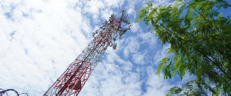 Torre de telecomunicaciones vista desde abajo entre árboles y cielo nublado. Ilustra el uso y gestión del espectro radioeléctrico.