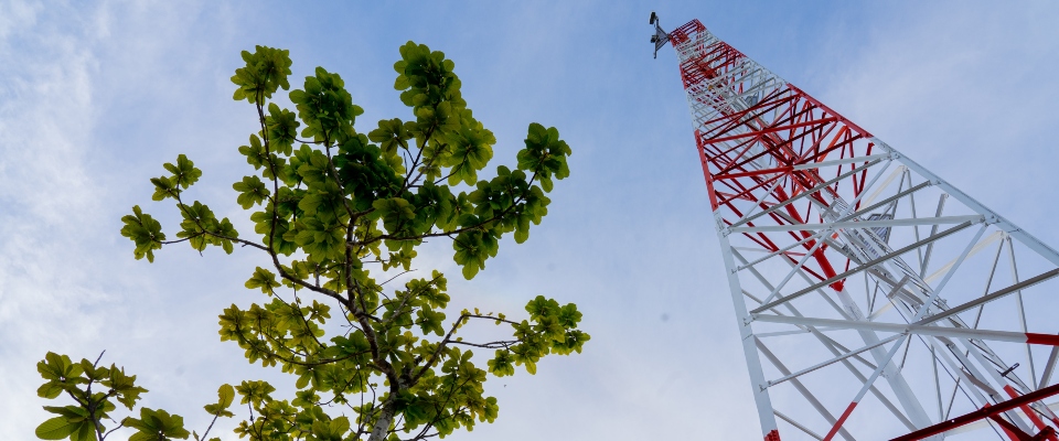 Árbol con hojas verdes a la izquierda y torre roja y blanca a la derecha, vistos desde abajo, sobre cielo con nubes