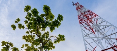 Árbol con hojas verdes a la izquierda y torre roja y blanca a la derecha, vistos desde abajo, sobre cielo con nubes