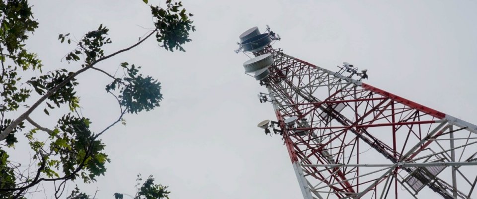 Torre metálica con antenas y platos parabólicos a la derecha; ramas con hojas verdes a la izquierda, bajo cielo gris.