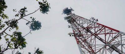 Torre metálica con antenas y platos parabólicos a la derecha; ramas con hojas verdes a la izquierda, bajo cielo gris.