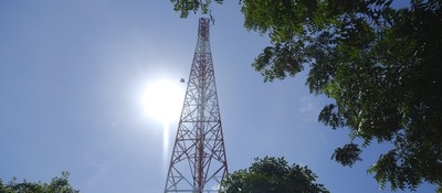 Torre metálica de telecomunicaciones se eleva hacia el cielo azul, con el sol detrás y ramas verdes alrededor.